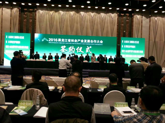 仟億達(dá)831999碳交易業(yè)界影響力較強(qiáng)，副總田衛(wèi)然接受黑龍江廣播電視臺采訪