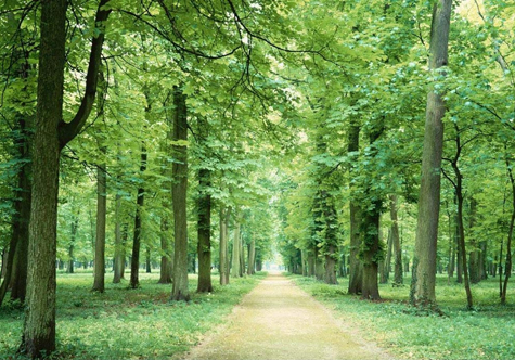 仟億達(dá)碳交易，讓林農(nóng)愛(ài)上植樹“賣空氣”