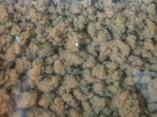 污泥、活性污泥粒狀顆粒